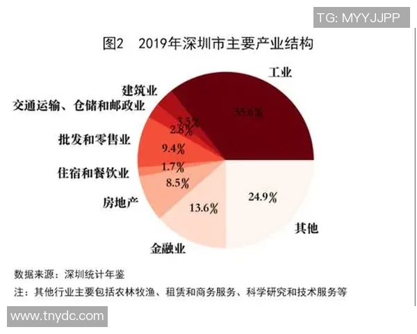 深圳排球队个人能力分析与表现评估研究报告 深圳排球队个人能力分析与表现评估研究报告