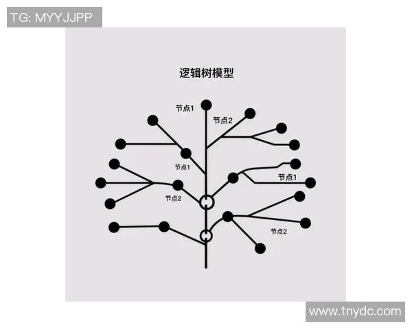 深入分析杭州羽毛球队快攻战术的独特魅力与实战应用