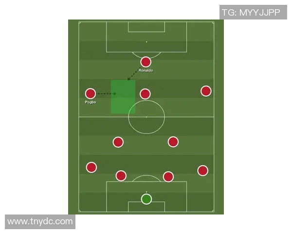 成都排球队排球战术解析与运营体系创新研究