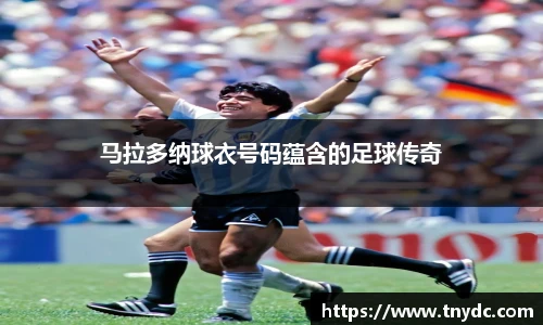 k1体育