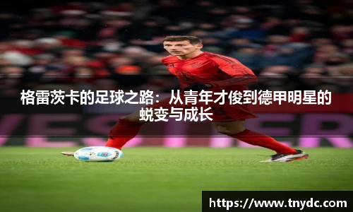 k1体育