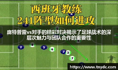 k1体育